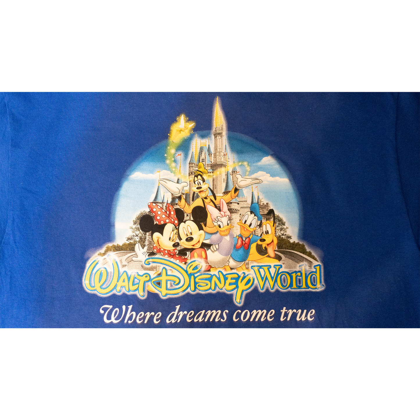 Walt Disney World”キャラ大集合”Tシャツ青