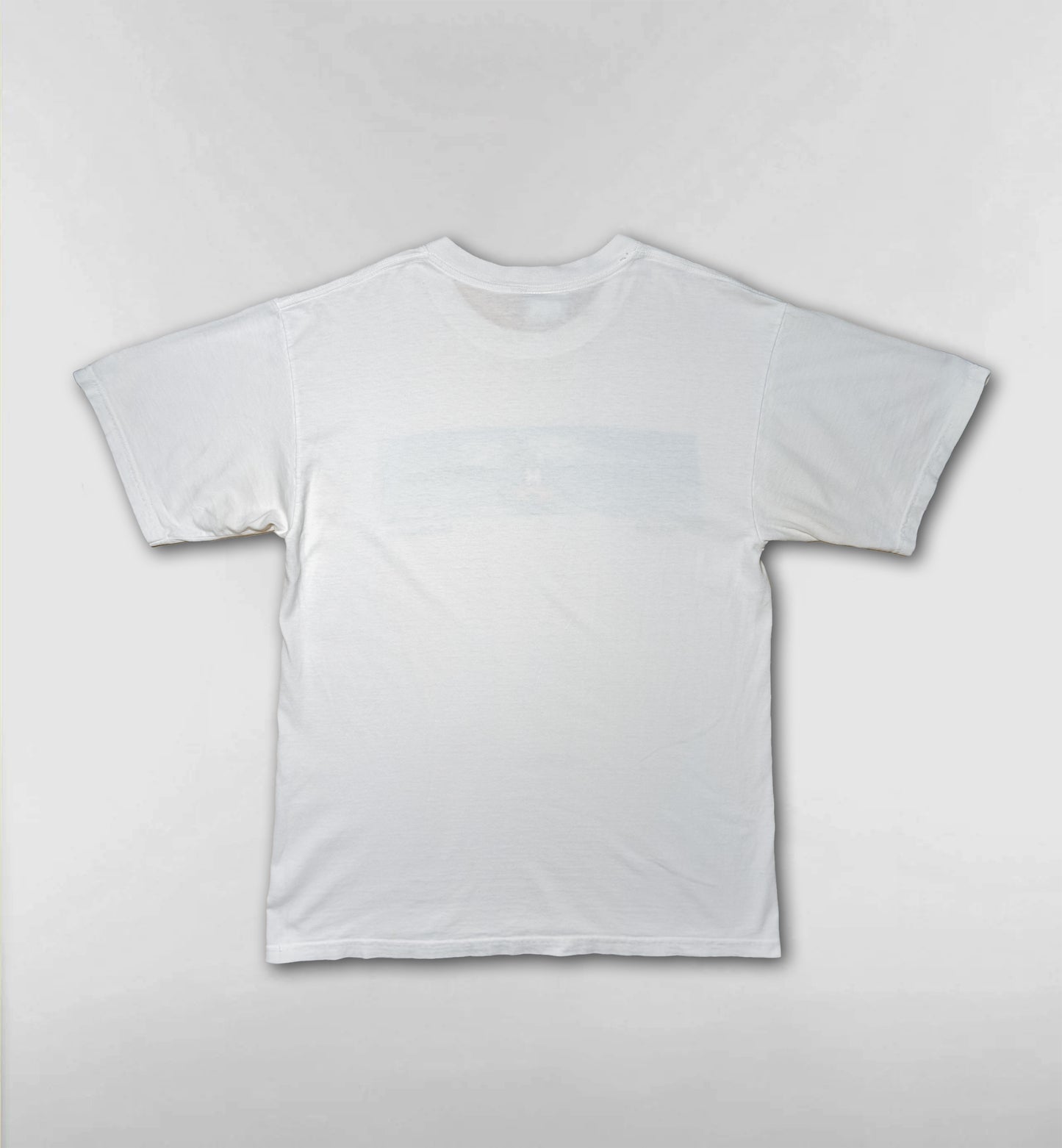 WDW グーフィー海水浴Tシャツ