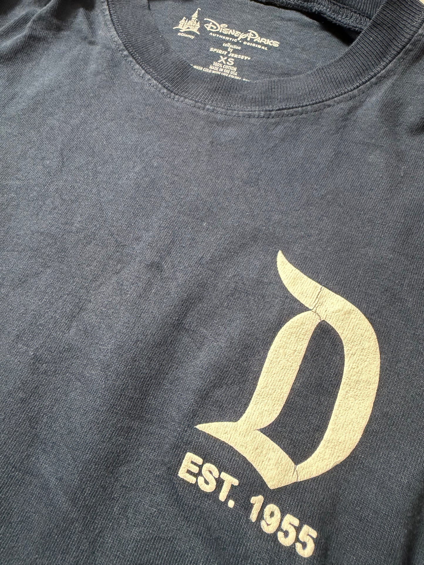 【〜10/31期間限定セール】Disneyland スピリットジャージー