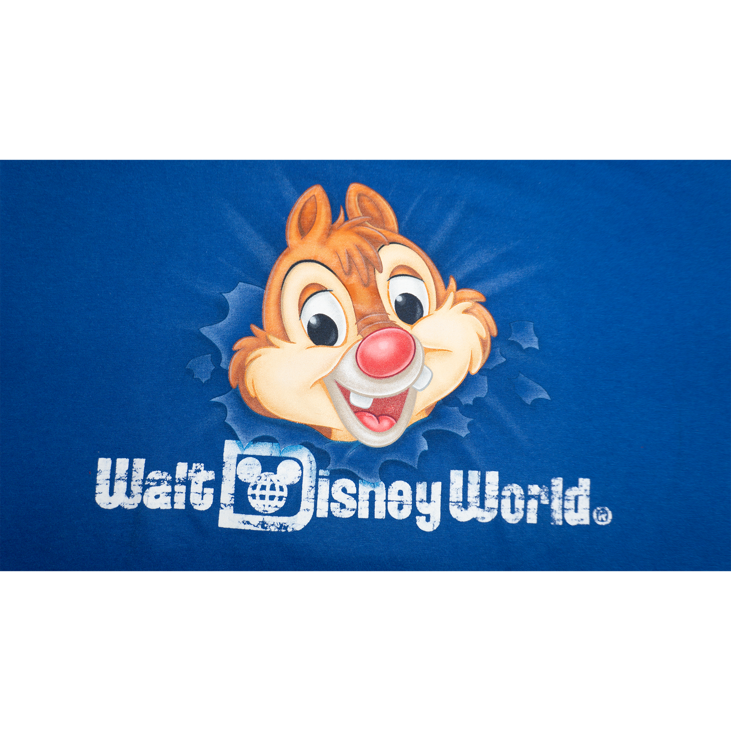チップとデールの顔破りTシャツ【海外パーク】
