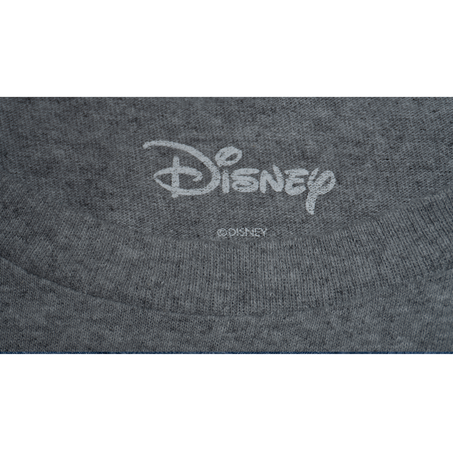 WILD ONE スティッチのイタズラTシャツ