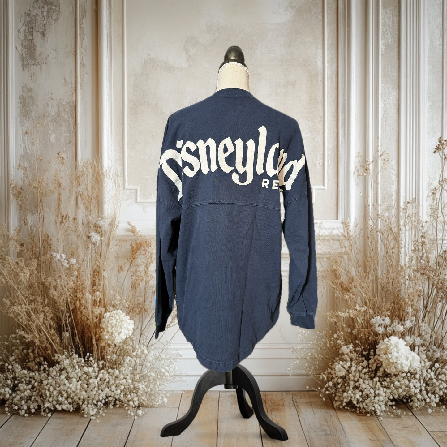 【〜10/31期間限定セール】Disneyland スピリットジャージー