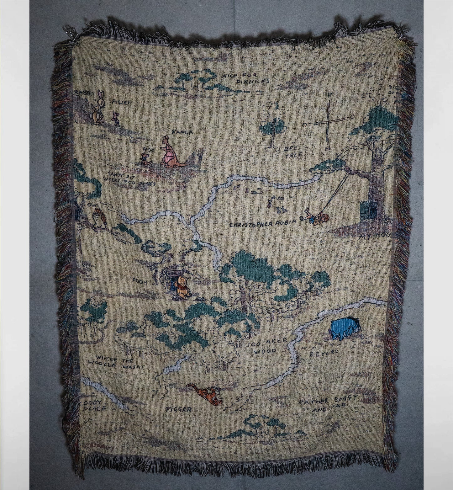 100エーカーの森マップ　ラグマット