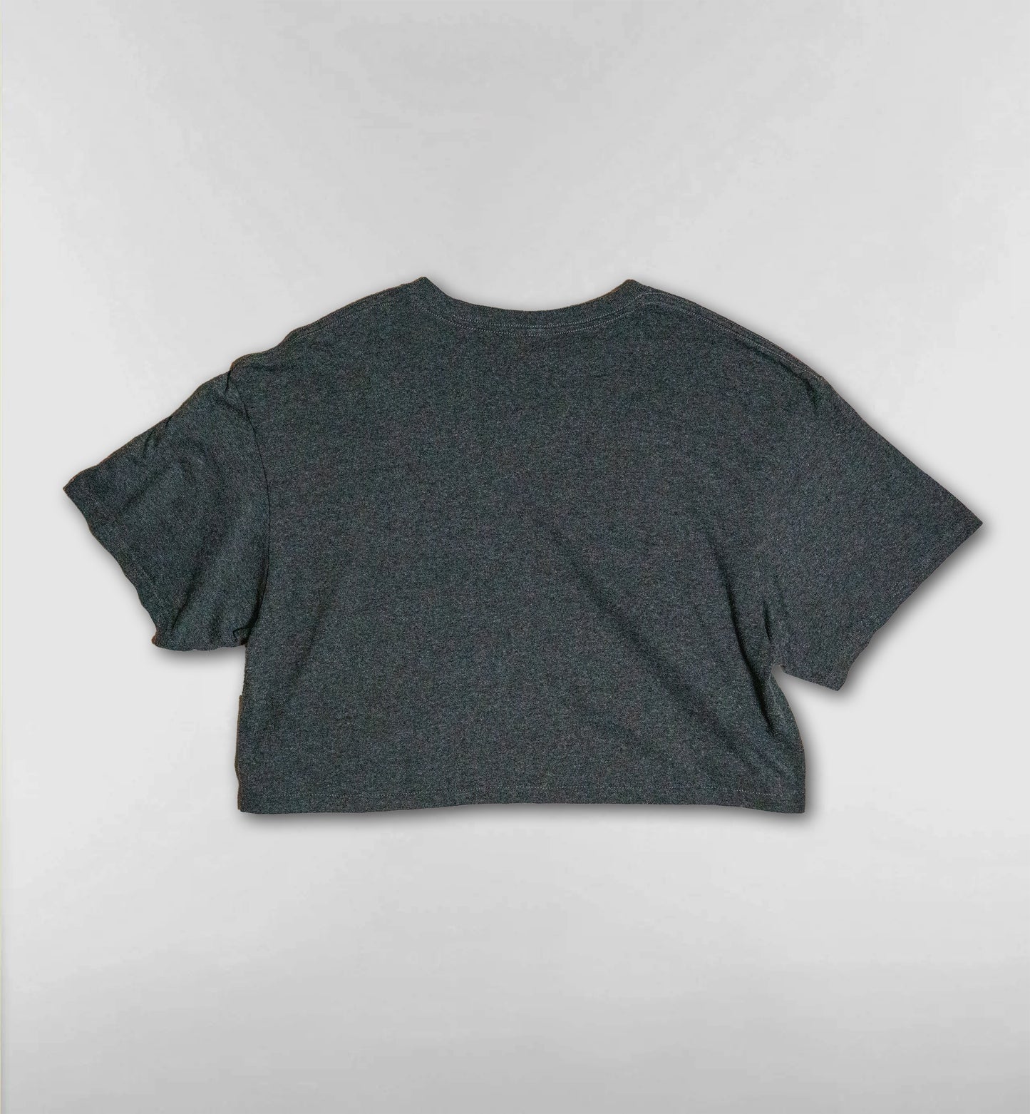 ショート丈スタンディングTシャツ