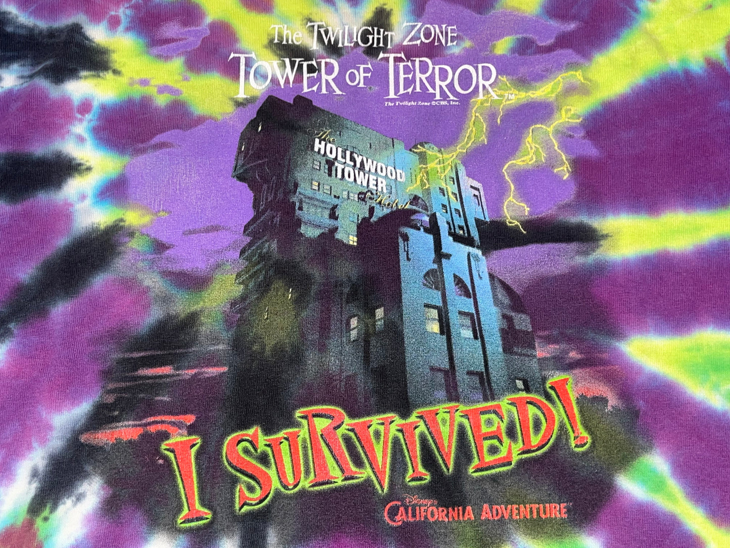 タワーオブテラーのタイダイTシャツ(Disneyland)