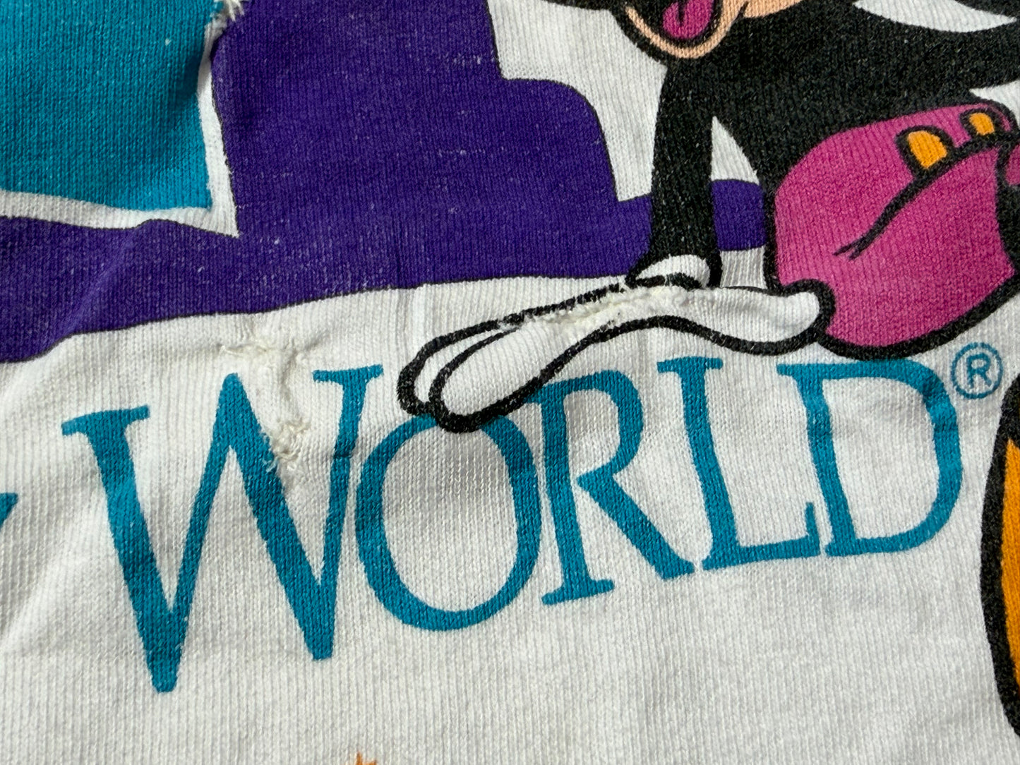 【〜10/31期間限定セール】ウォルト・ディズニー・ワールド ＆ミッキー城プリントTシャツ