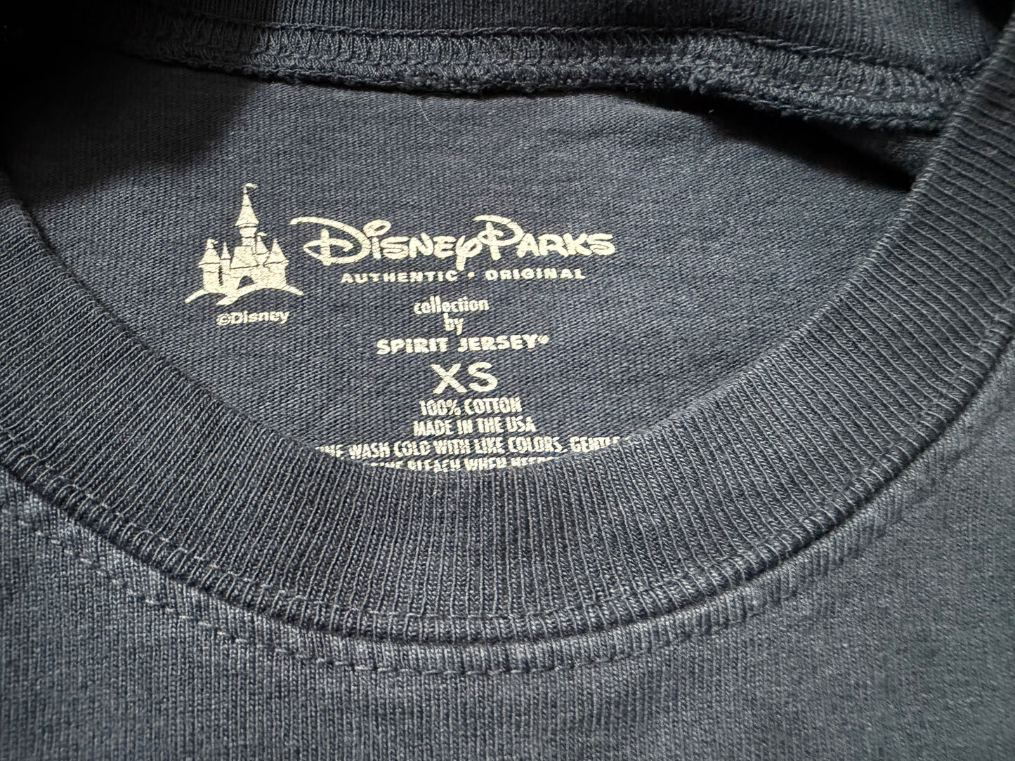 【〜10/31期間限定セール】Disneyland　スピリットジャージー