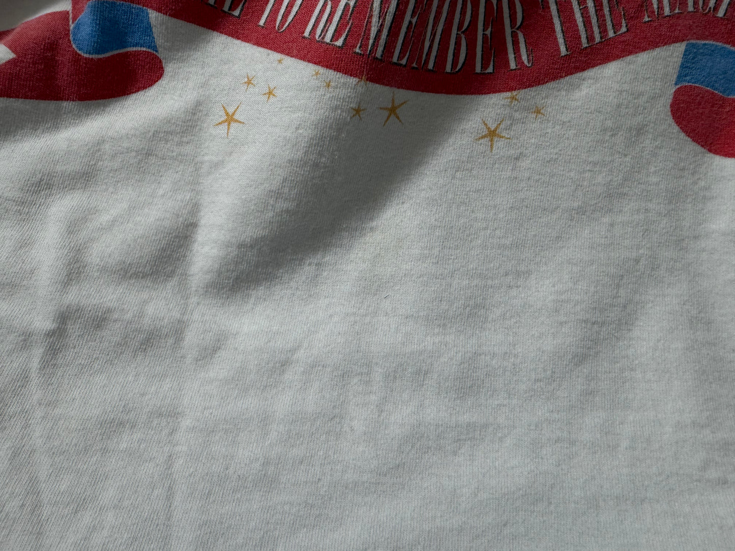 【〜10/31期間限定セール】ウォルト・ディズニー・ワールド 25周年記念Tシャツ（1996）