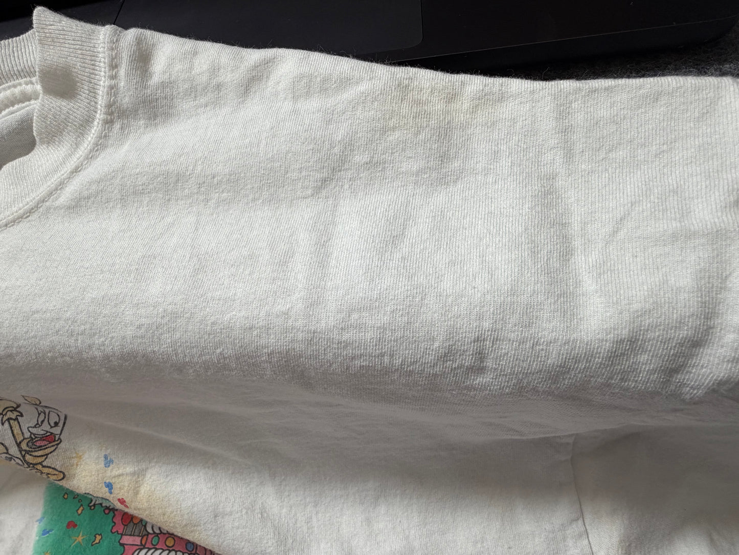 【〜10/31期間限定セール】ウォルト・ディズニー・ワールド 25周年記念Tシャツ（1996）