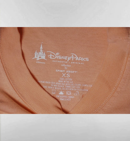 Disney EST.1971 ワンポイントスピリットジャージー 4
